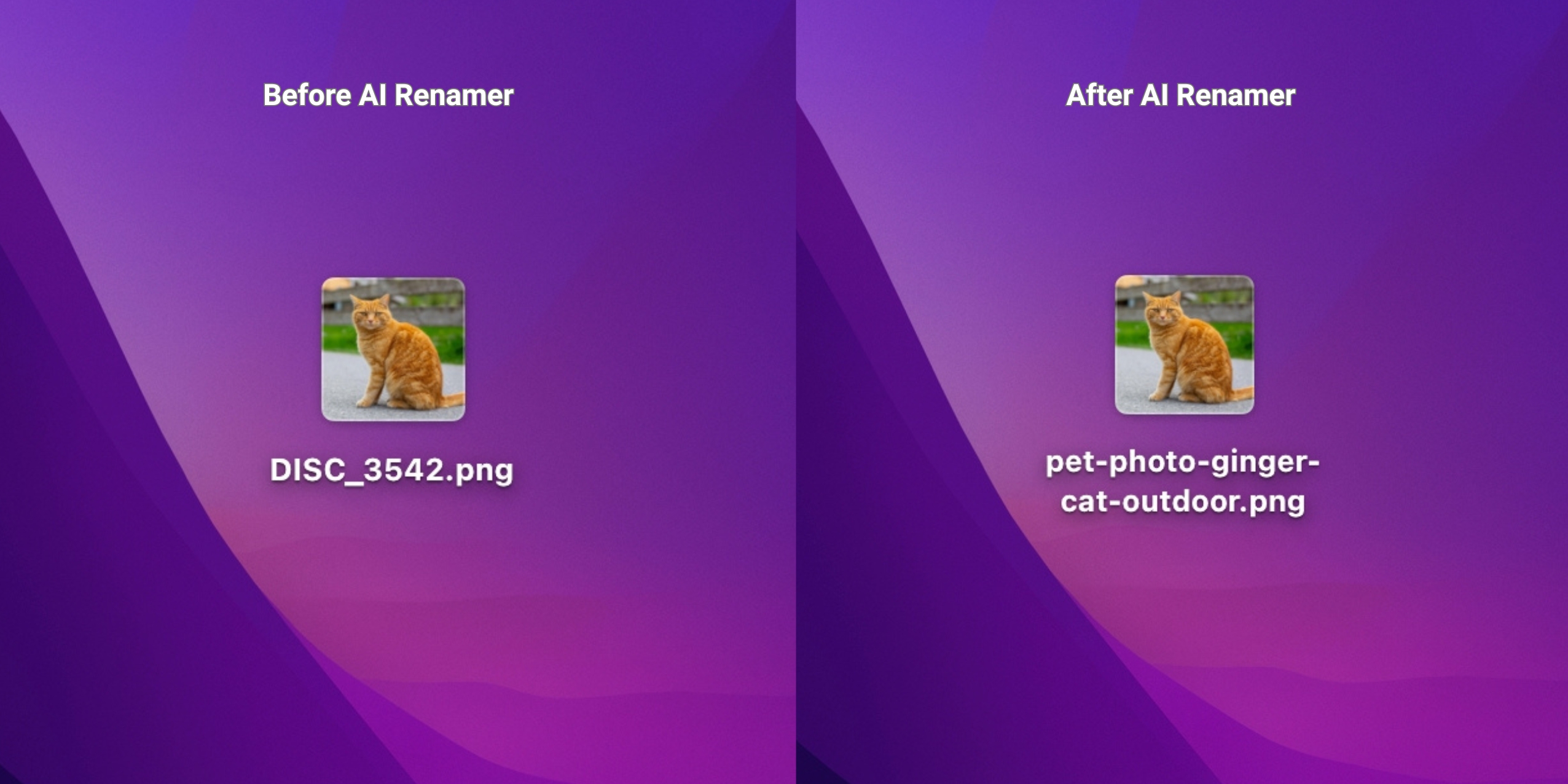 Before AI Renamer - After AI Renamer