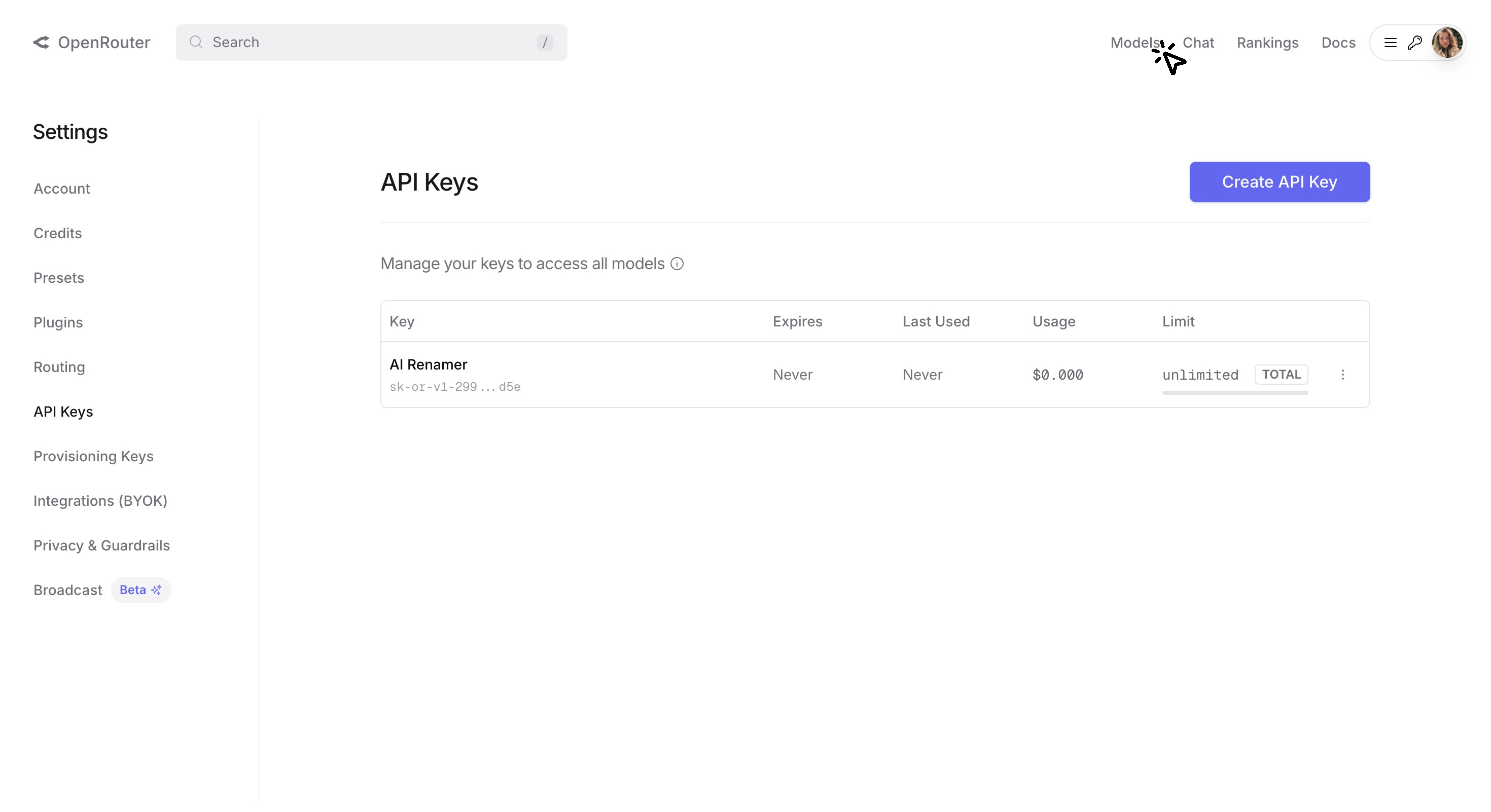Step-by-Step: How to Set Up OpenRouter with AI Renamer, Step 8