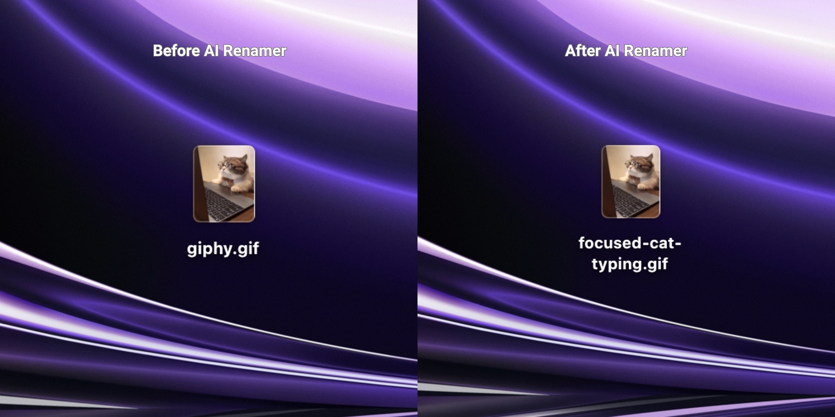 Before AI Renamer After AI Renamer