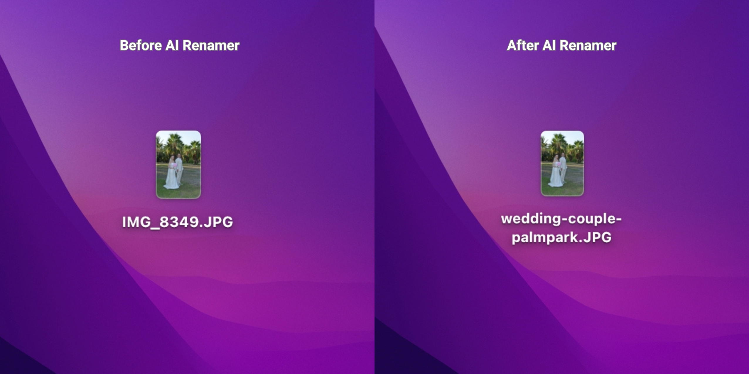 Before AI Renamer - After AI Renamer