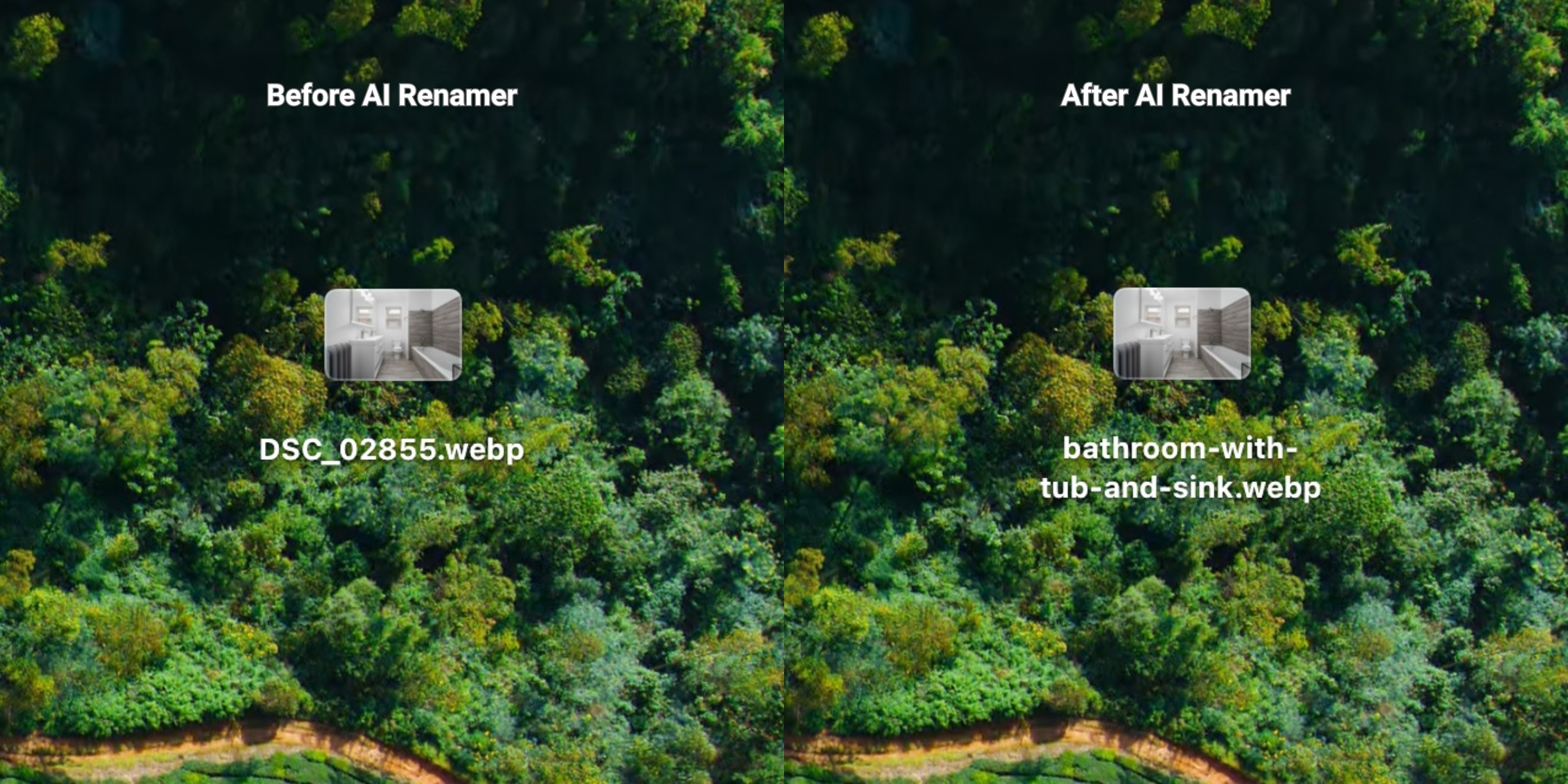 Before AI Renamer After AI Renamer