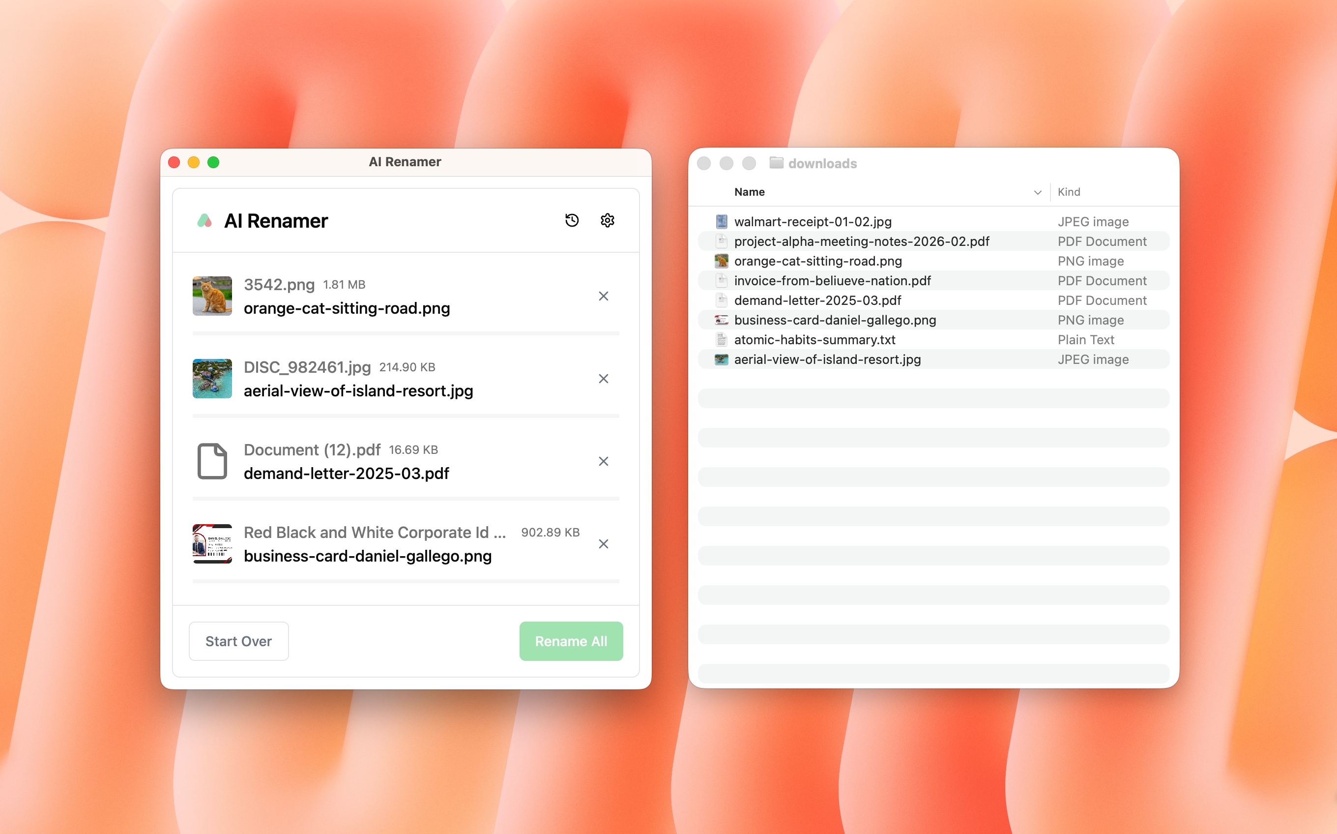 Who Benefits From a Simple AI File Renamer