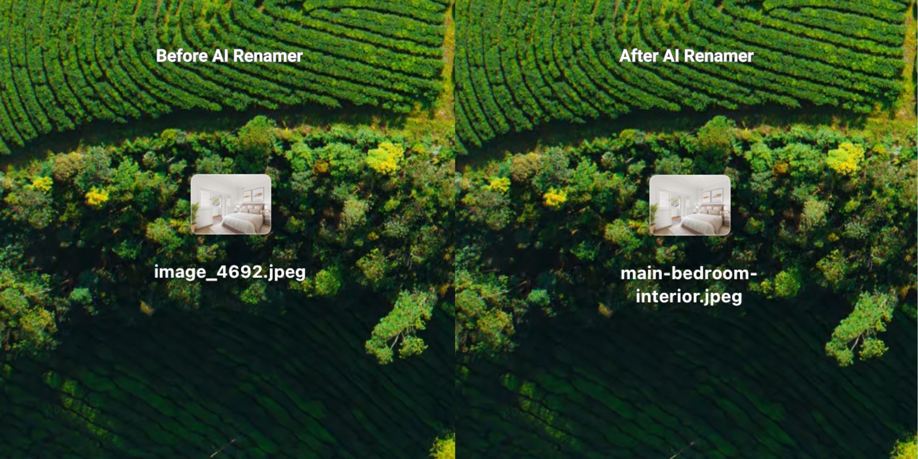 Before AI Renamer After AI Renamer