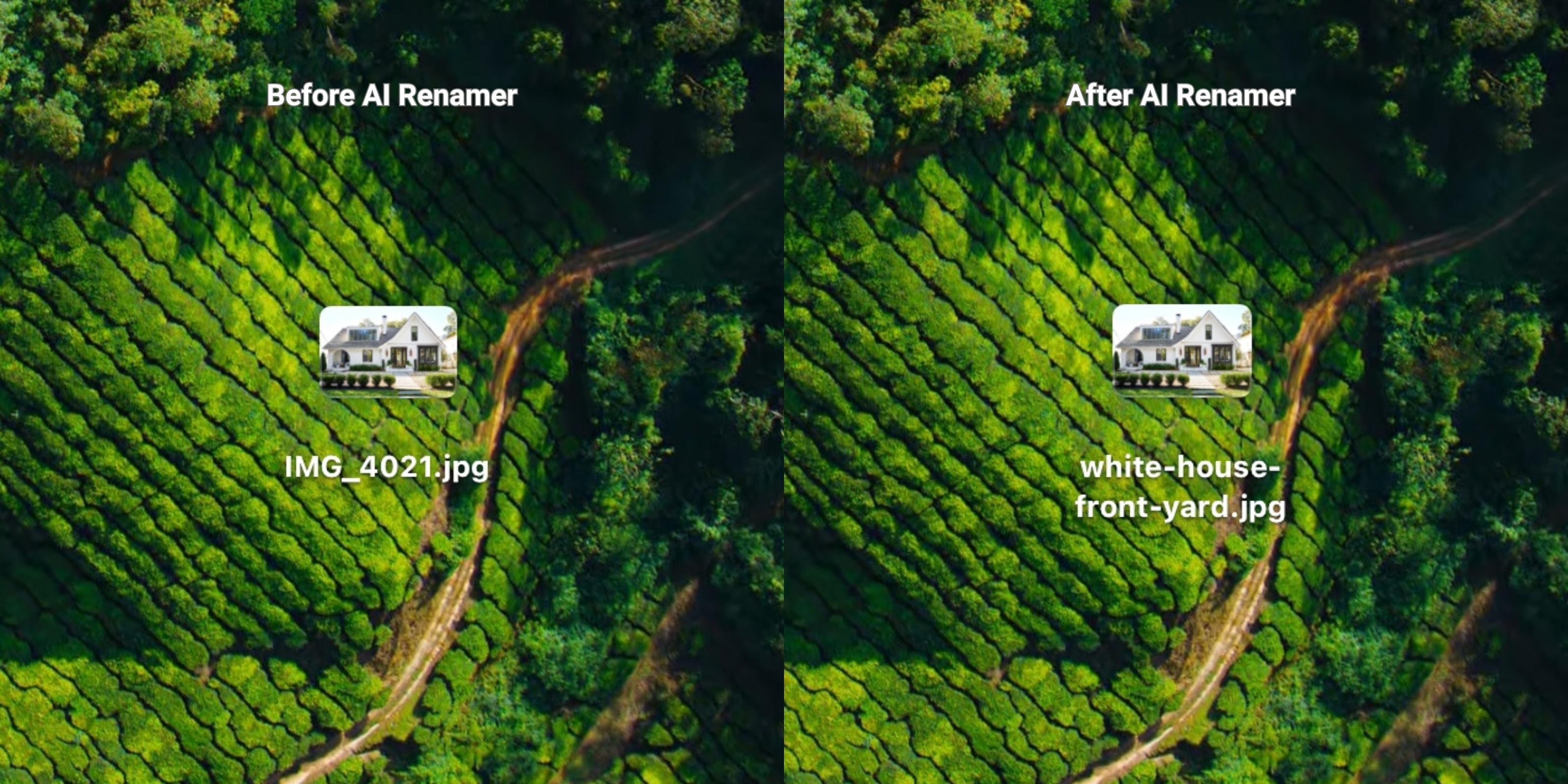 Before AI Renamer After AI Renamer