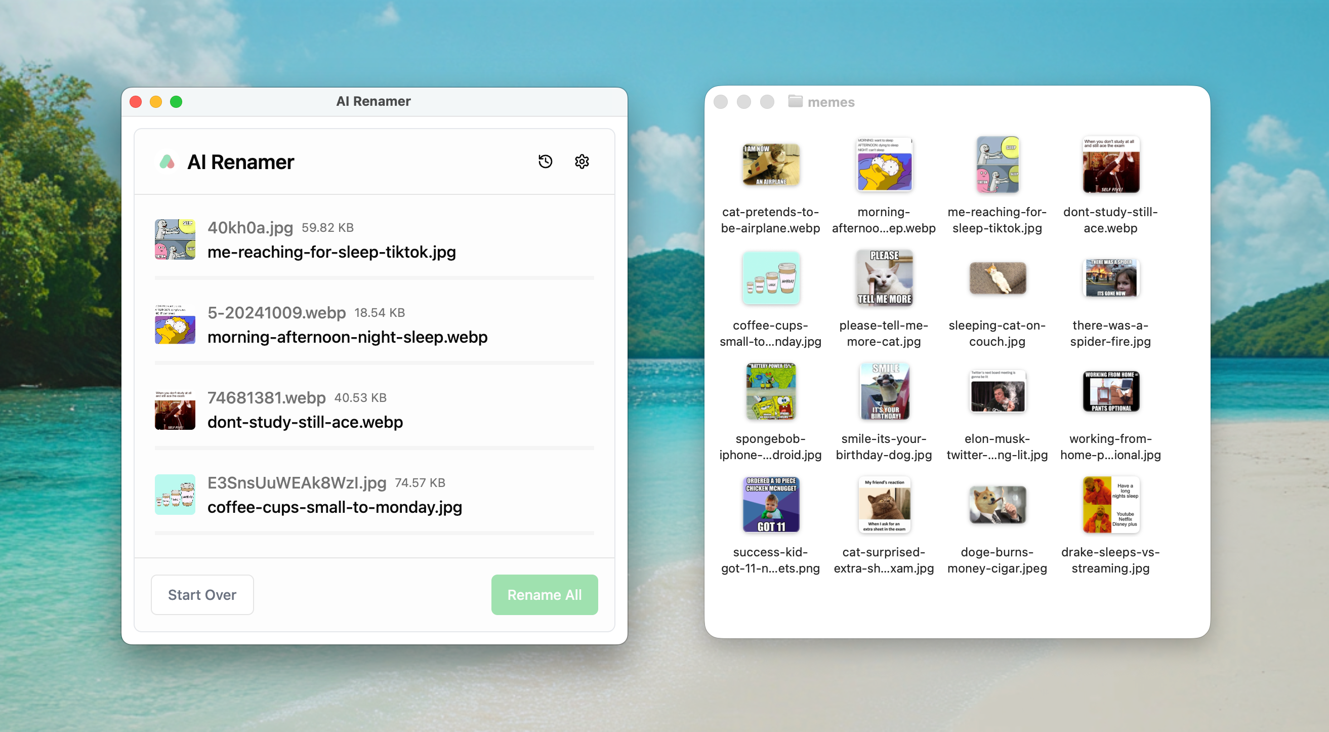AI Renamer after screenshot - recognizable meme filenames like elon-musk-twitter-meeting.jpg