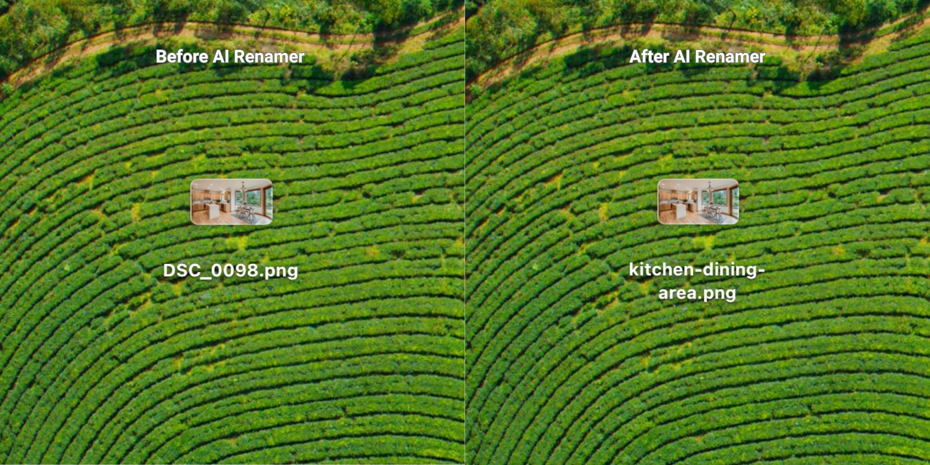 Before AI Renamer After AI Renamer