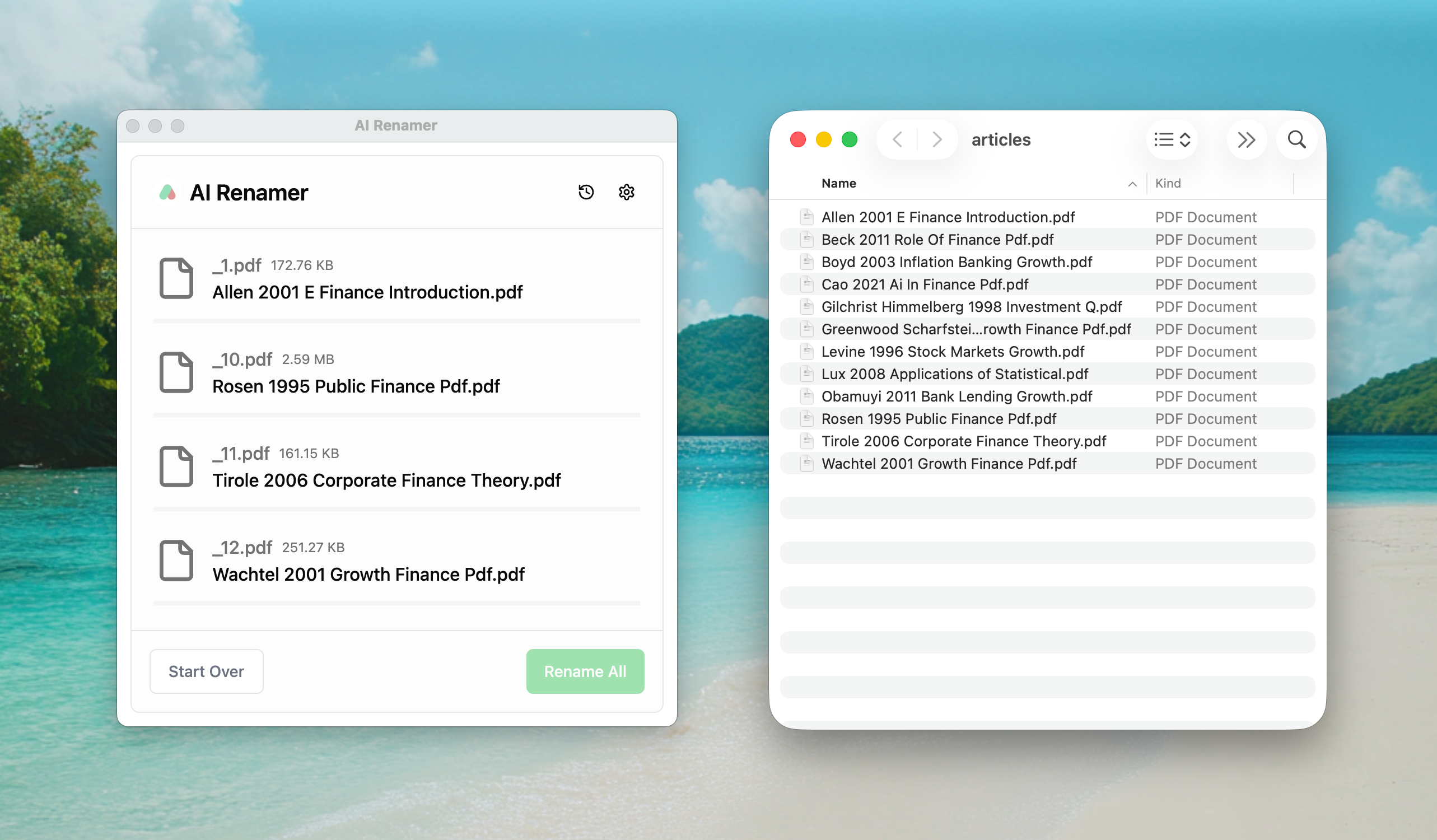 AI Renamer after screenshot - academic PDFs renamed with author and year like Rosen-1995-Public-Finance.pdf