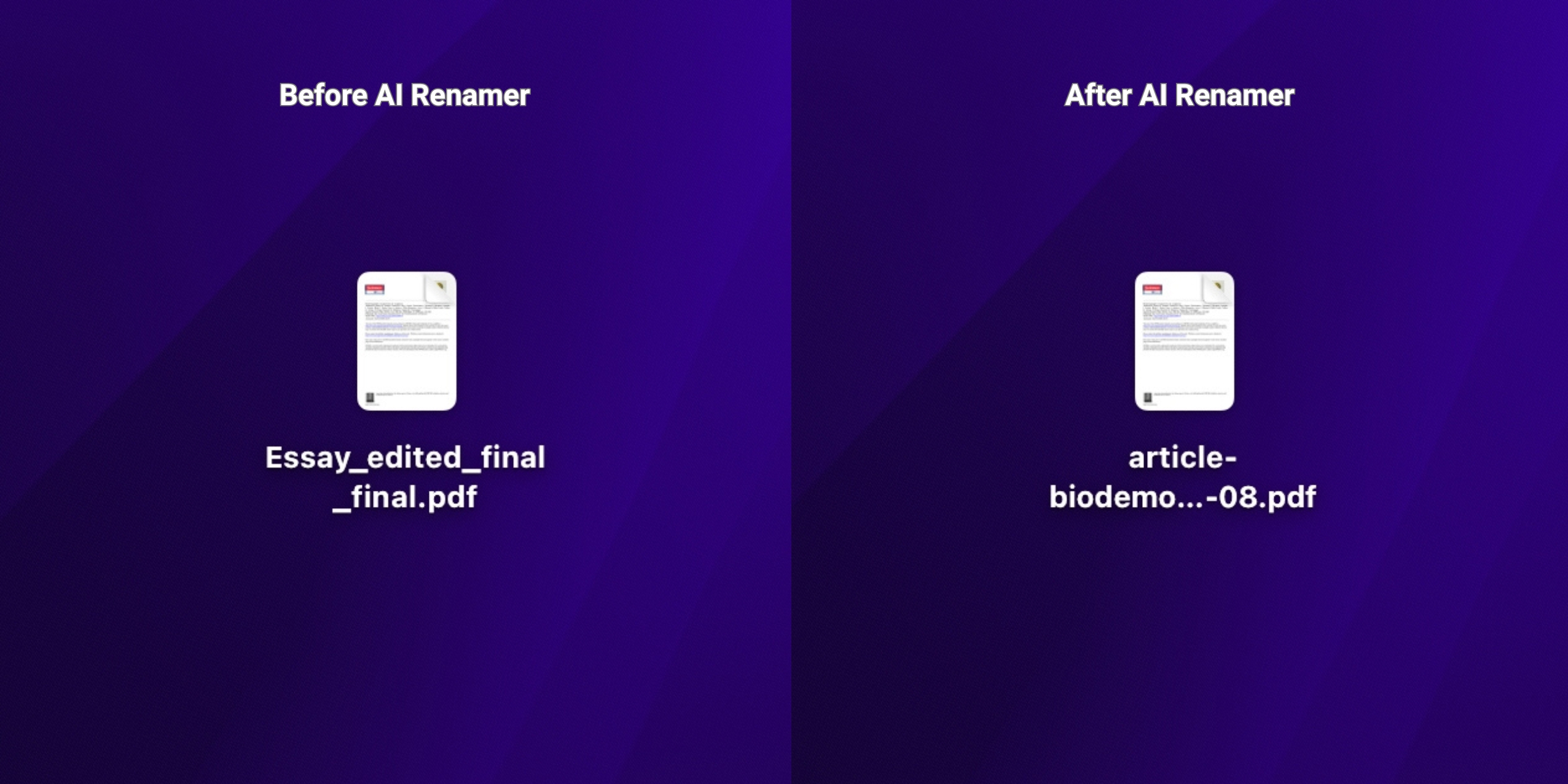 Before AI Renamer - After AI Renamer