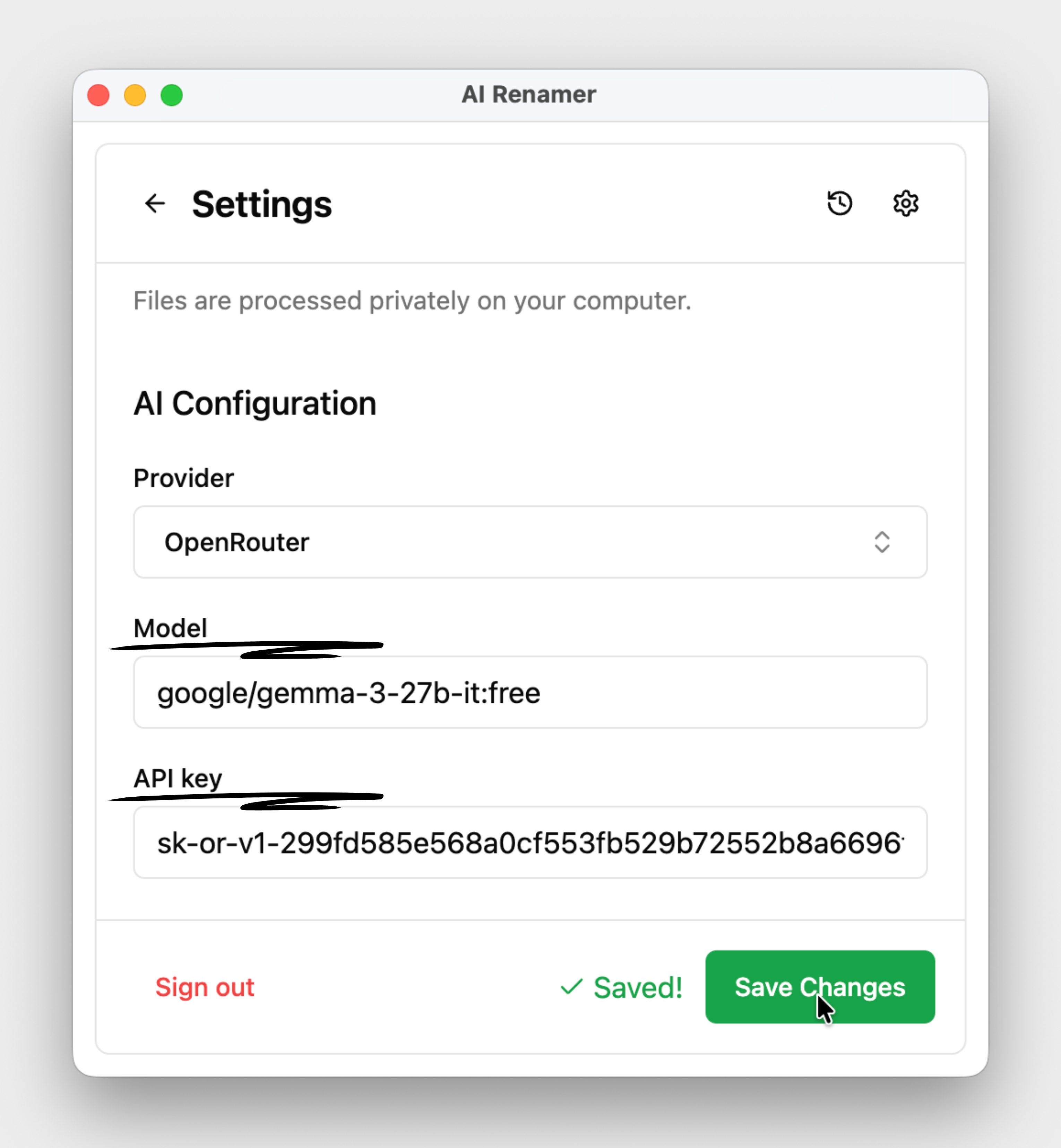 Step-by-Step: How to Set Up OpenRouter with AI Renamer, Step 15